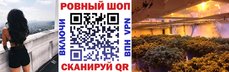 Все наркотики Балей МЕТАМФЕТАМИН Гашиш kraken ССЫЛКА Конопля