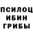 Галлюциногенные грибы MAGIC MUSHROOMS Director 92
